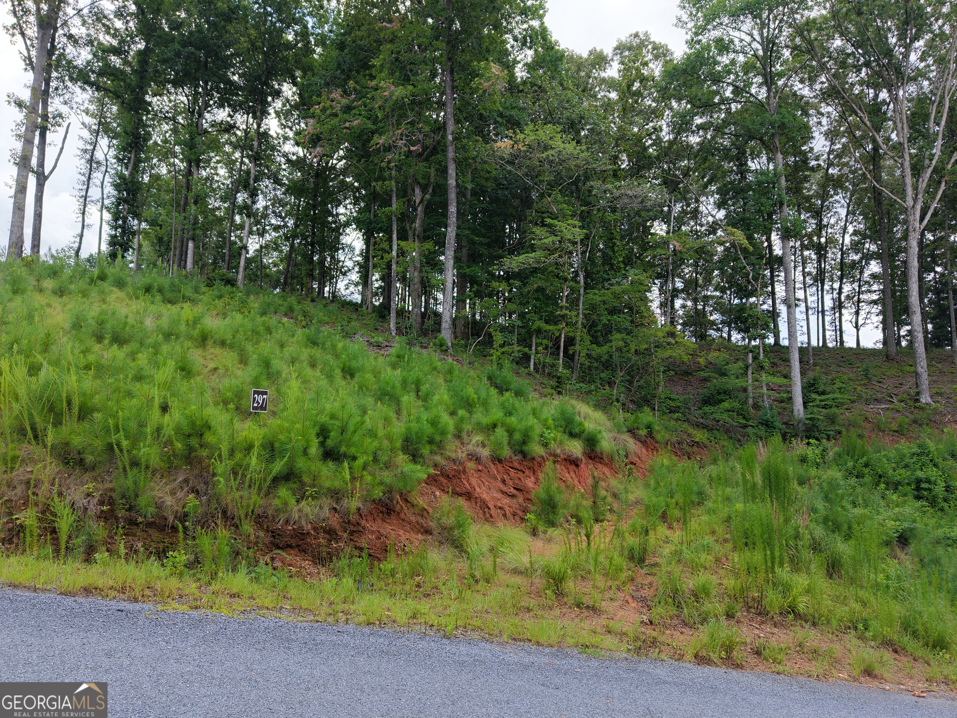 297 Pebble Trace Property Photo 24