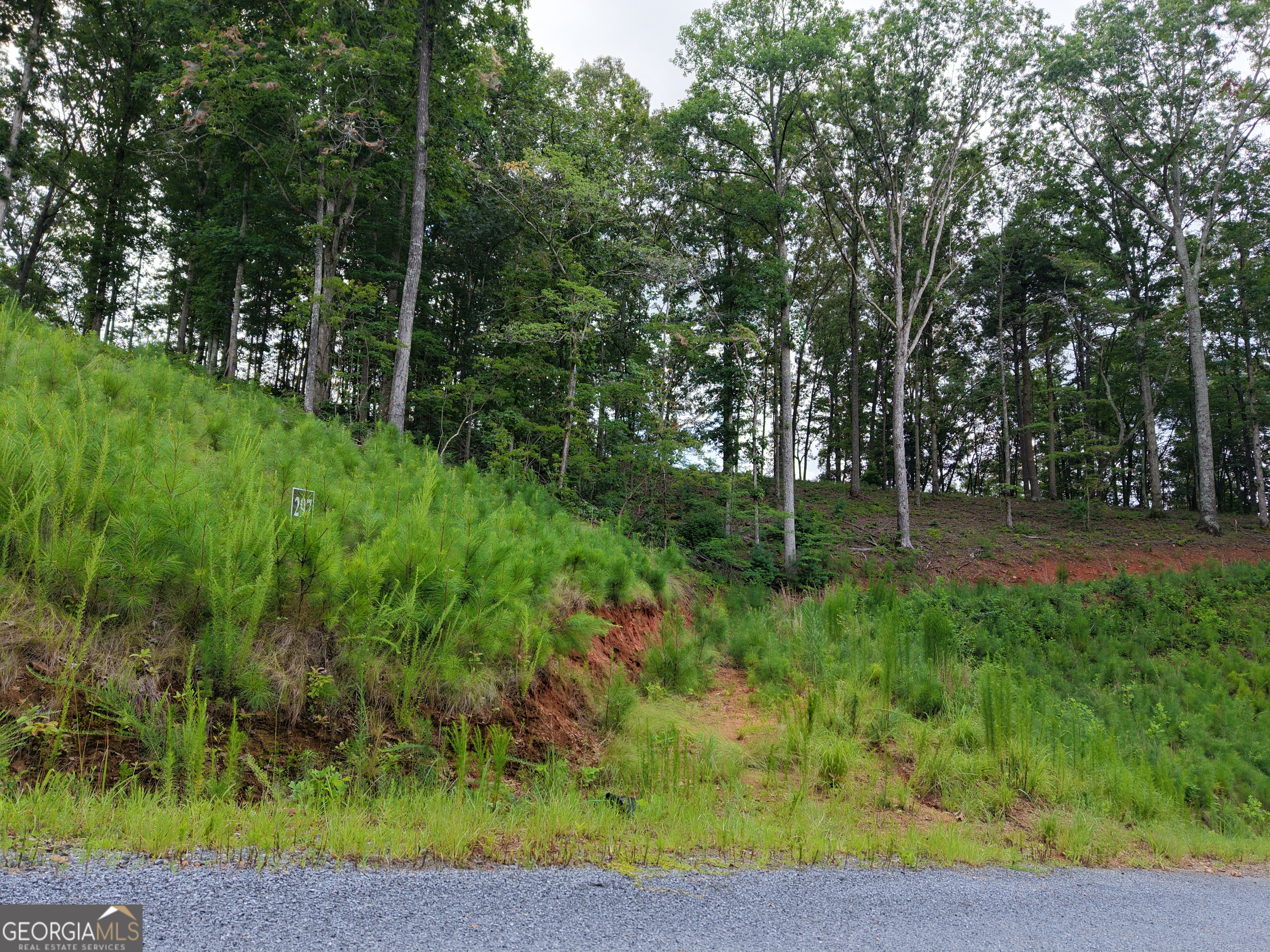 297 Pebble Trace Property Photo 25