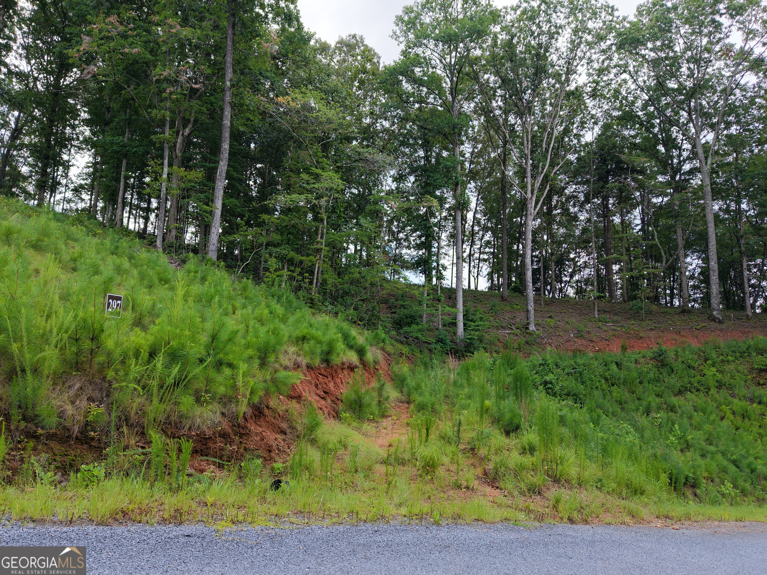 297 Pebble Trace Property Photo 26