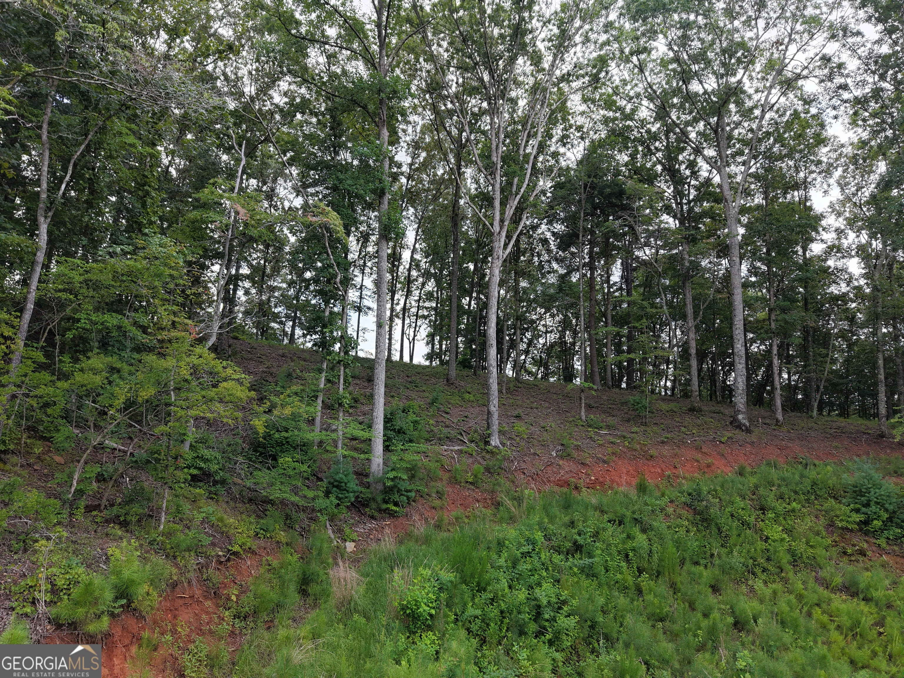 297 Pebble Trace Property Photo 27