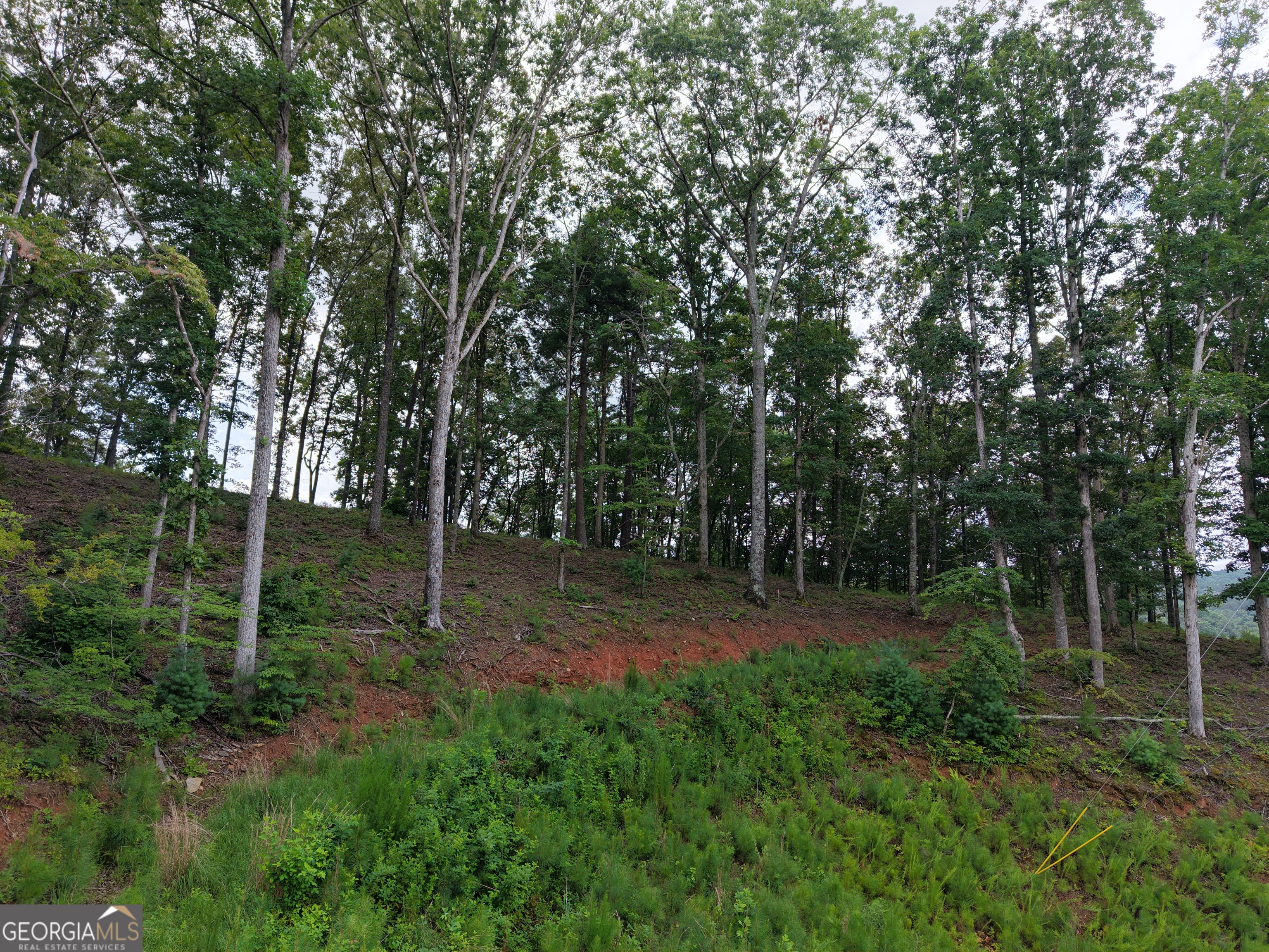 297 Pebble Trace Property Photo 28