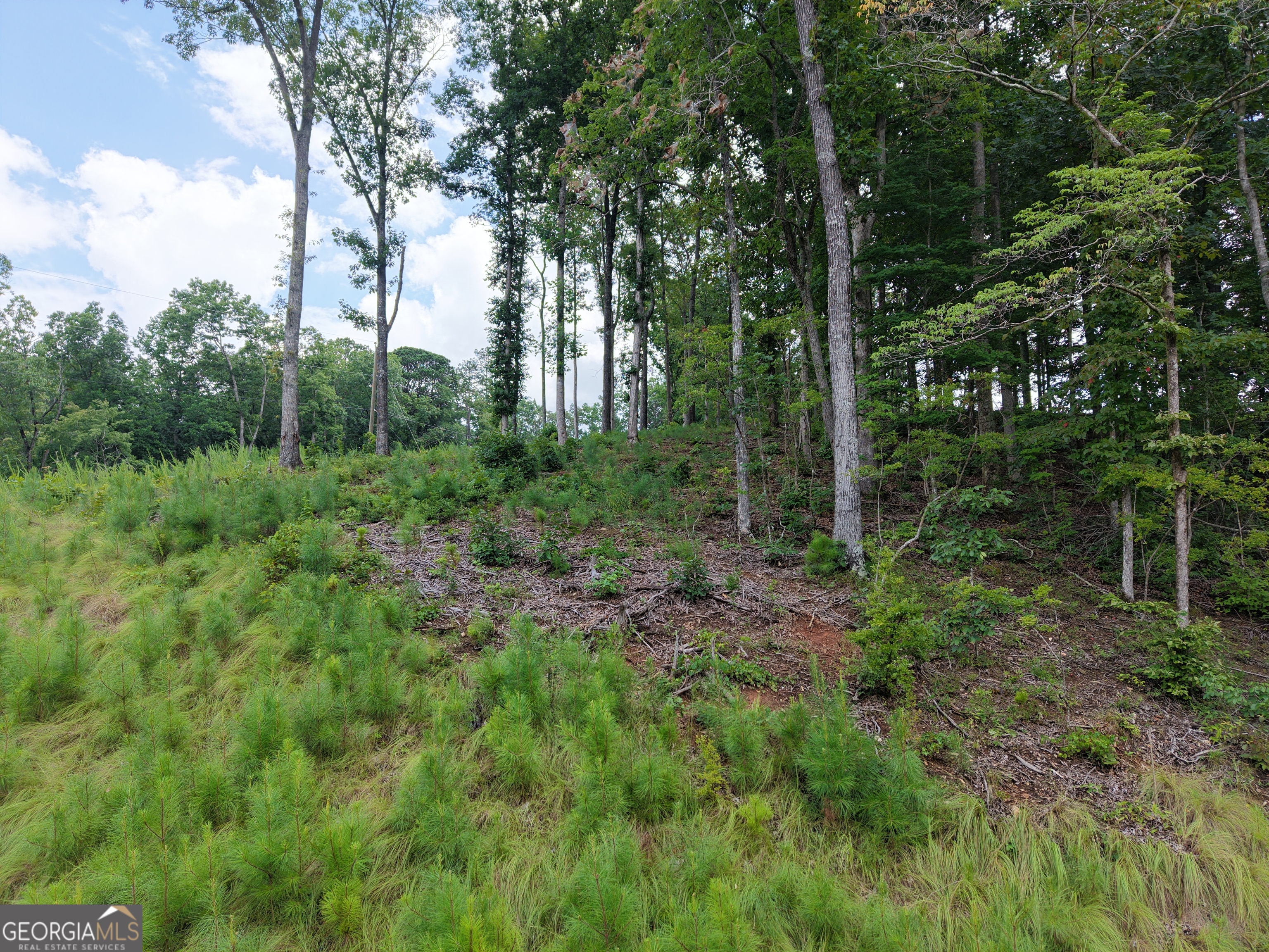 297 Pebble Trace Property Photo 29