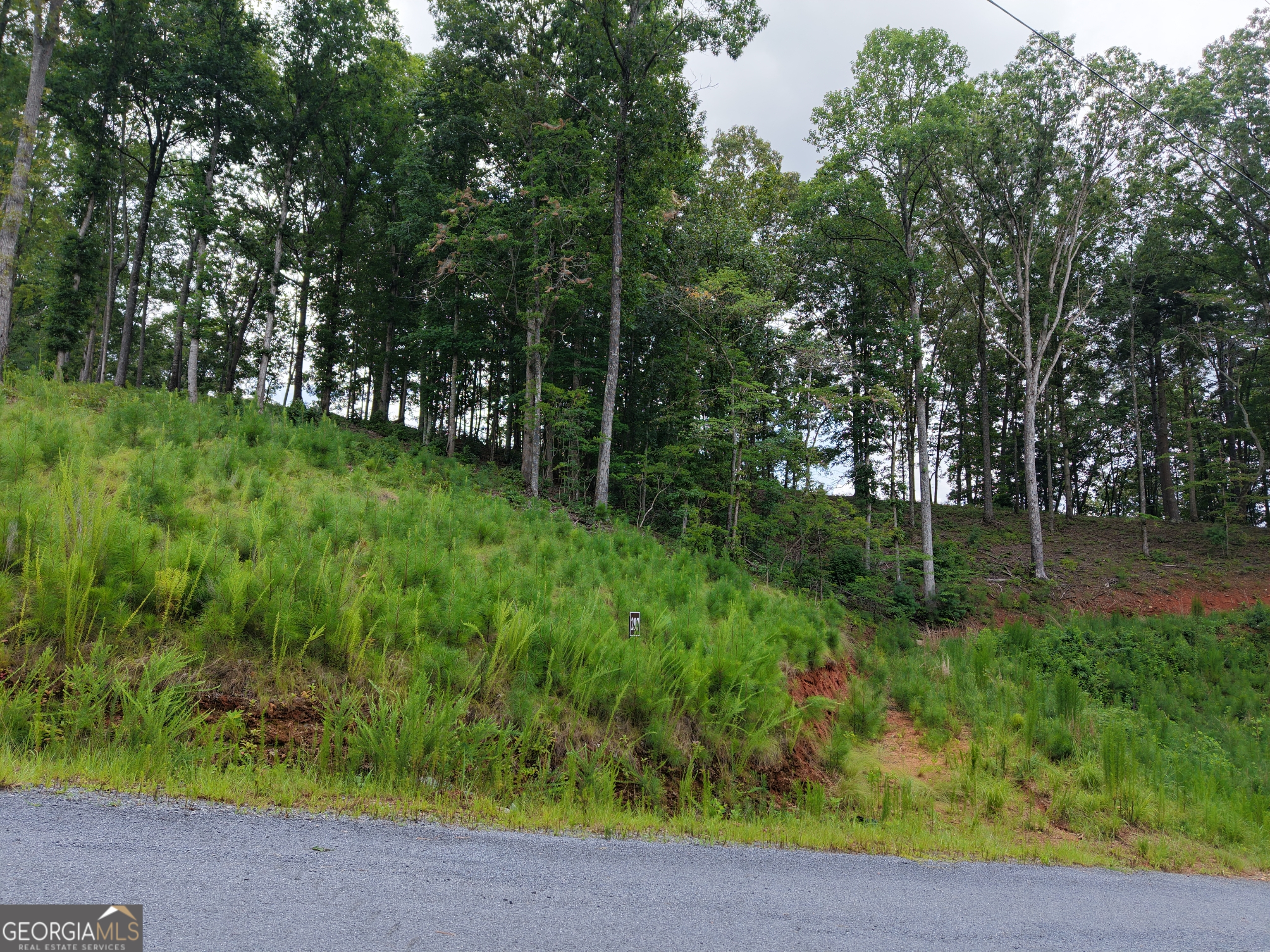 297 Pebble Trace Property Photo 30