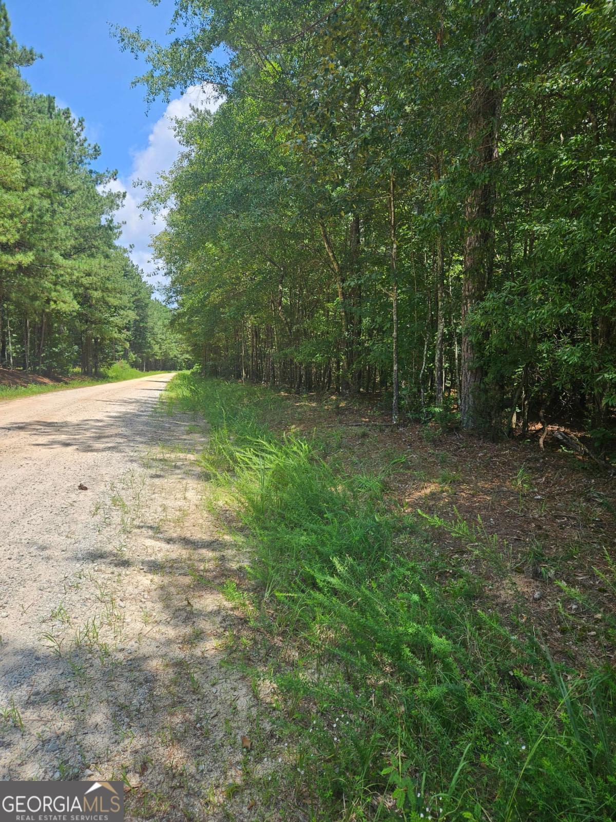 292 Mccannon Rd Tract 3a Property Photo 1