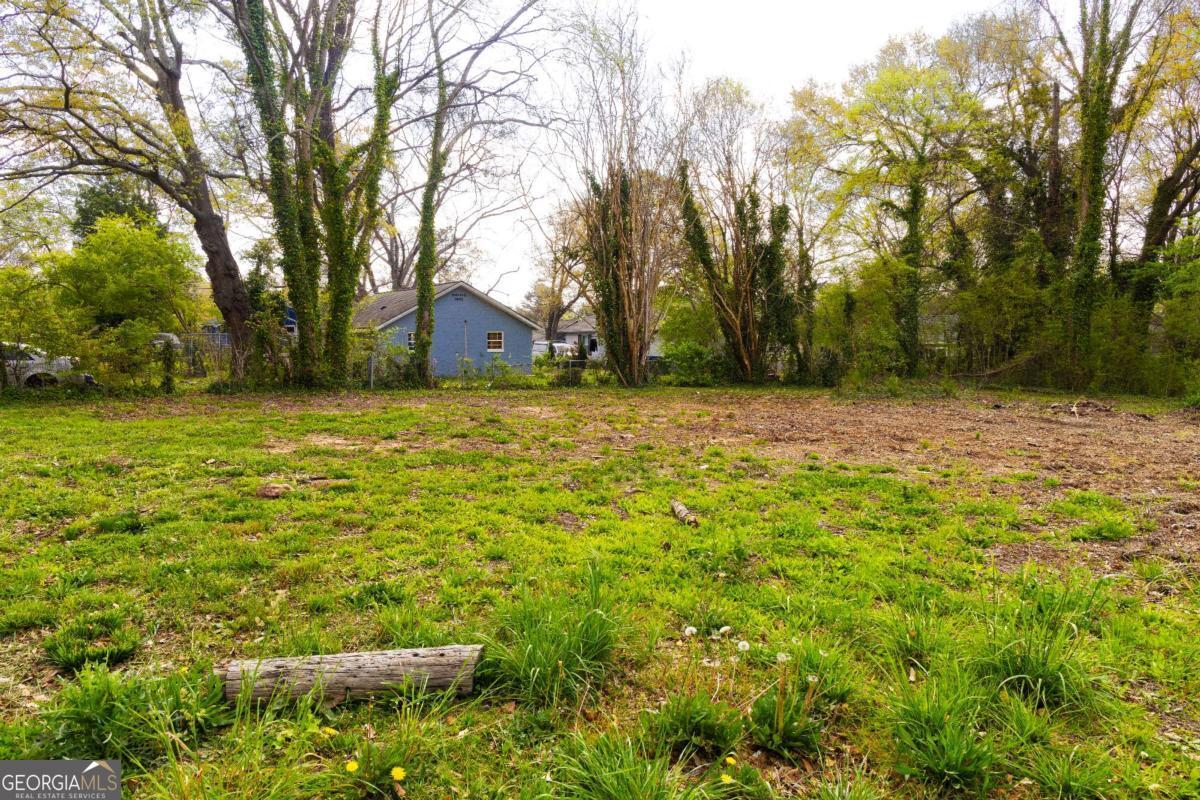 2132 Larchwood Road Sw Property Photo 2