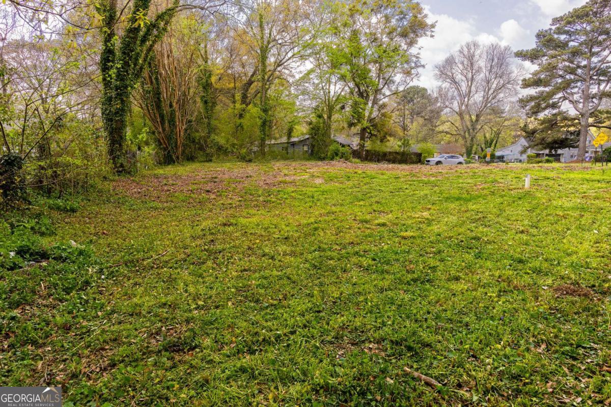 2132 Larchwood Road Sw Property Photo 5