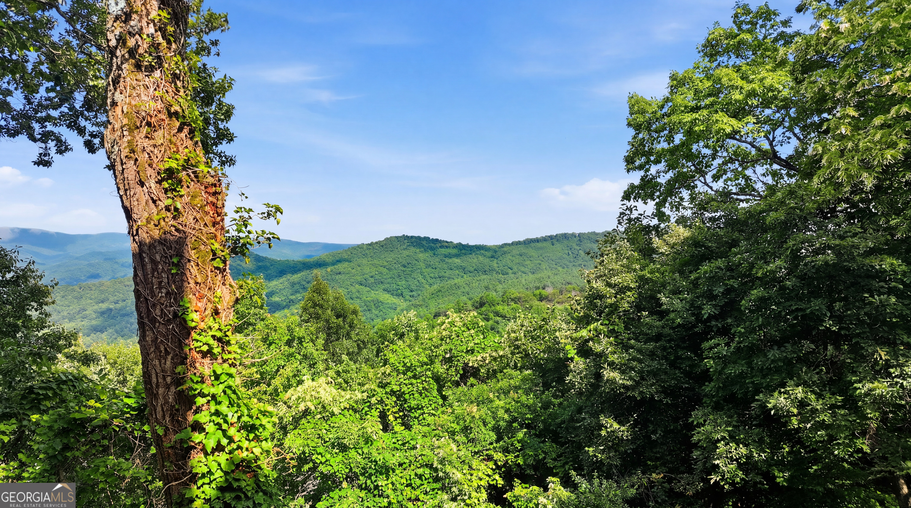 82 Appalachian Point Property Photo 38