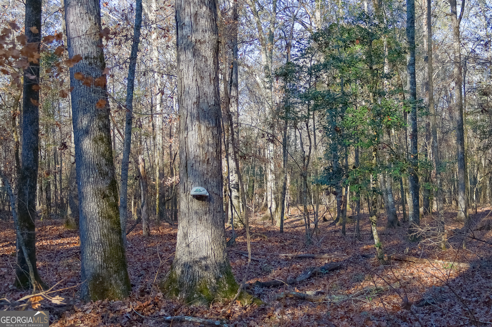 557 Limestone Road Property Photo 3