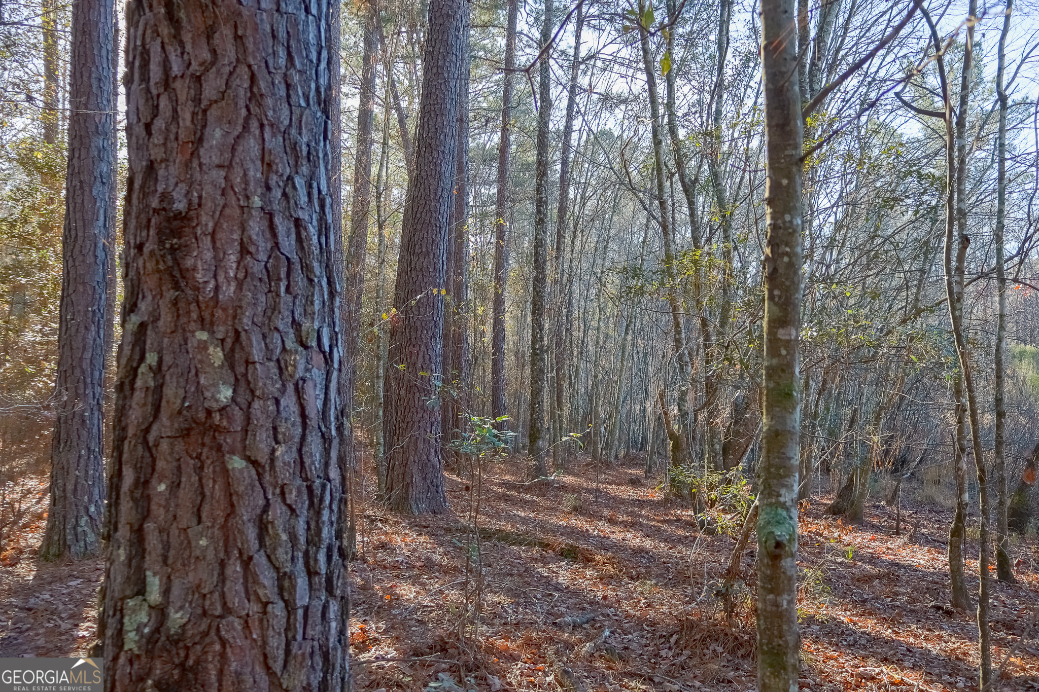 557 Limestone Road Property Photo 4
