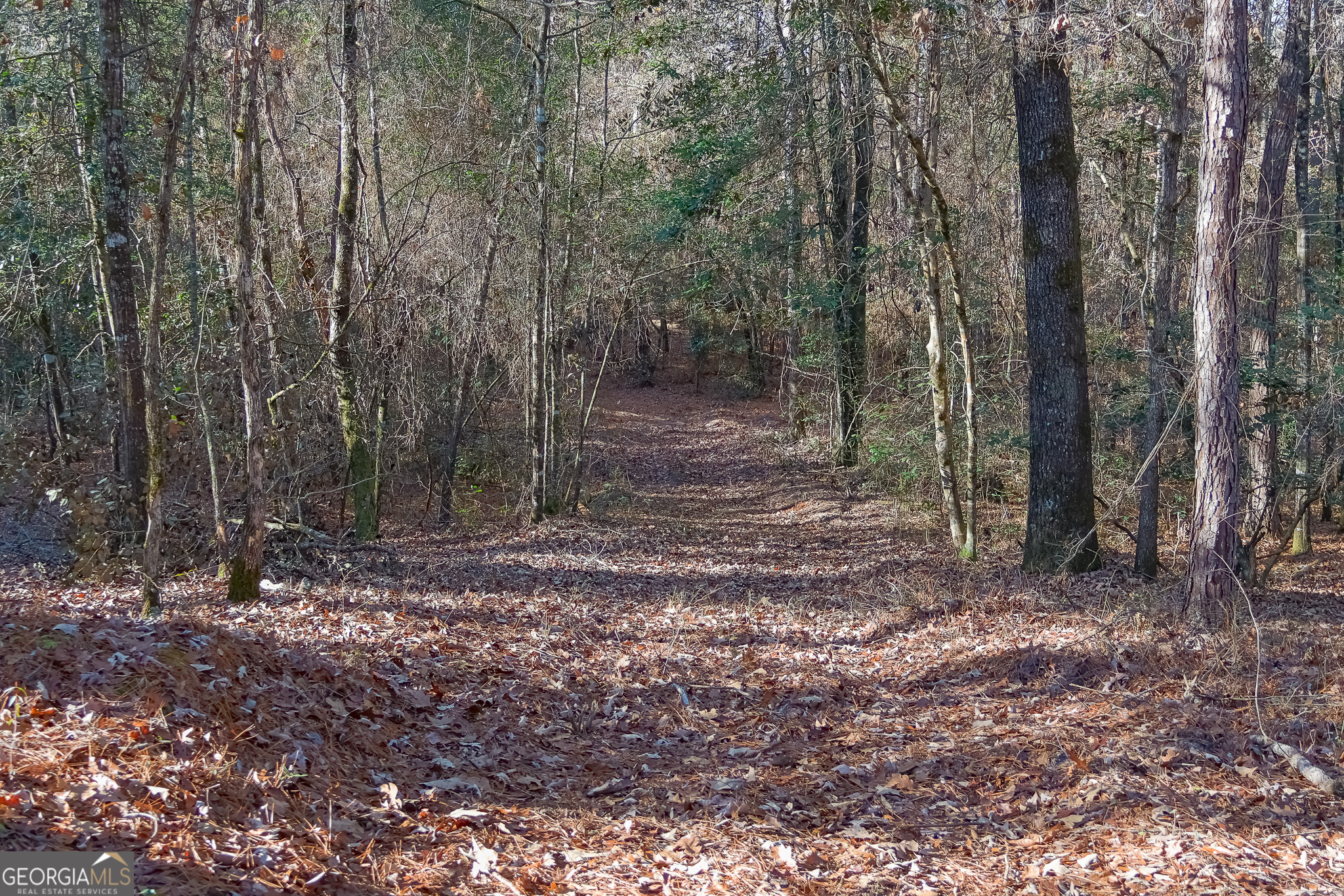 557 Limestone Road Property Photo 6