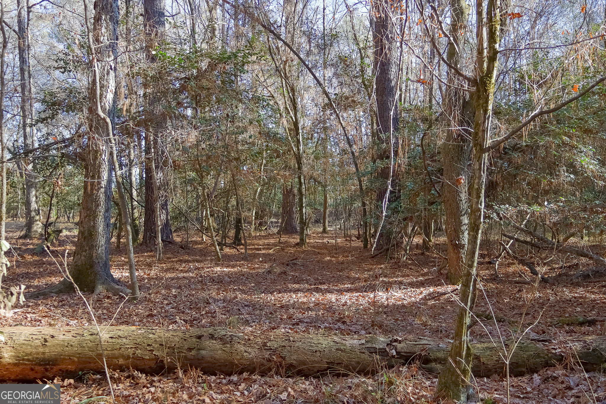 557 Limestone Road Property Photo 7