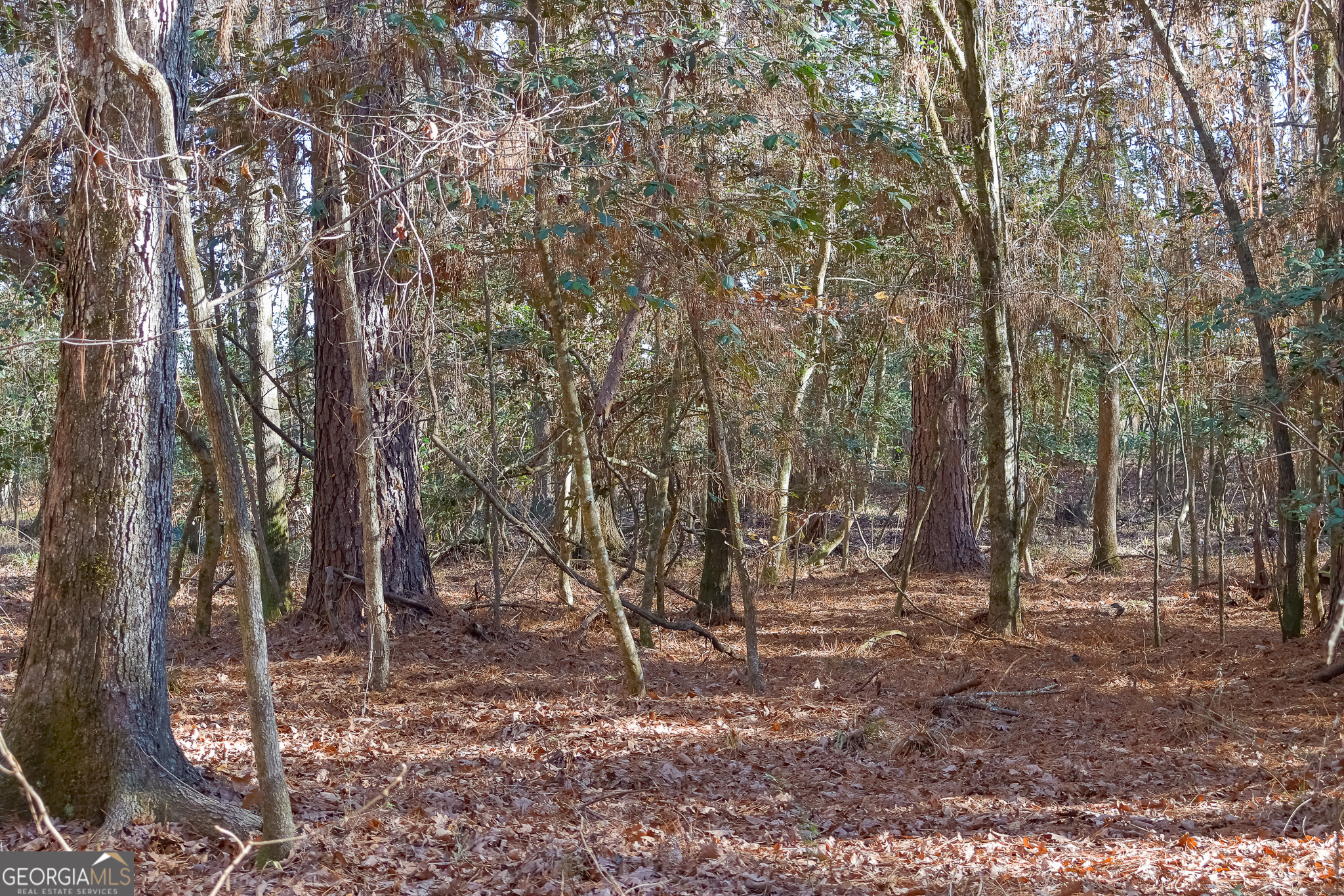 557 Limestone Road Property Photo 8