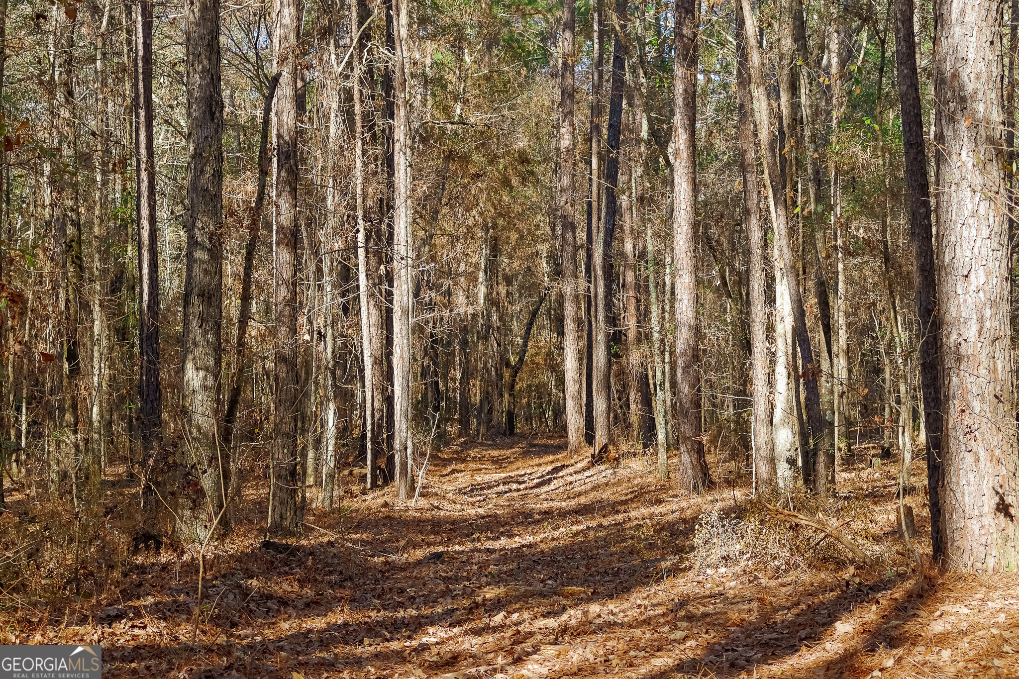 557 Limestone Road Property Photo 14