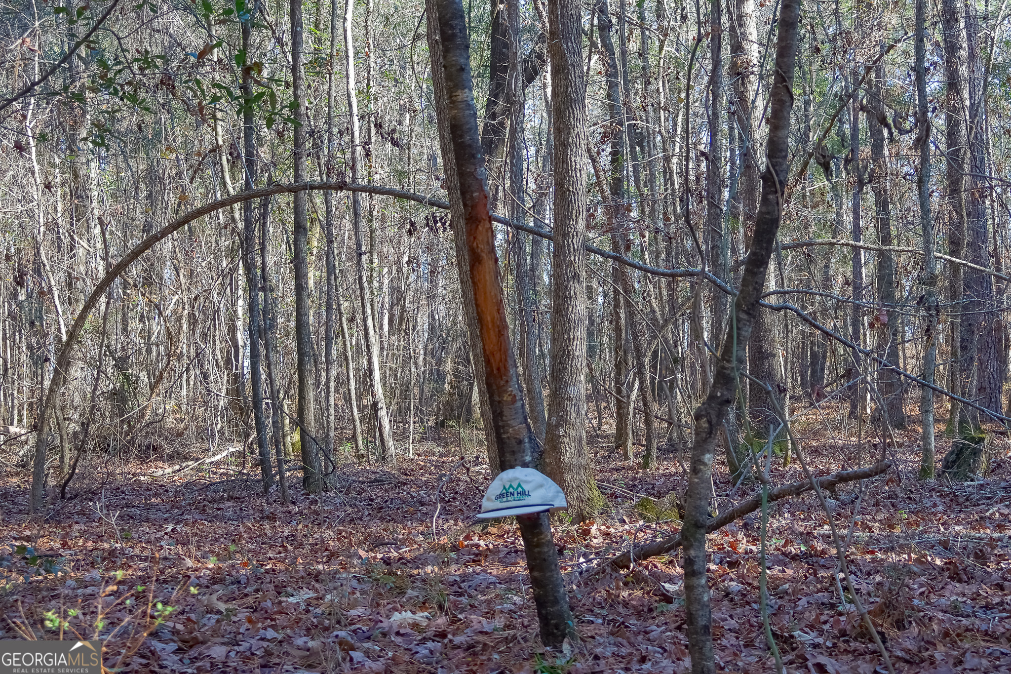 557 Limestone Road Property Photo 15