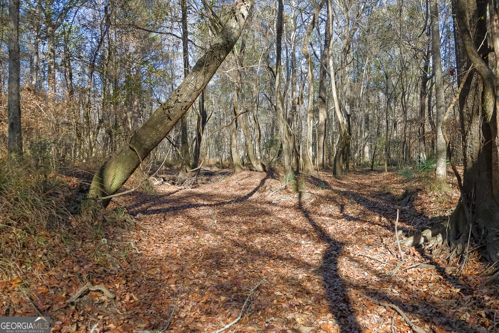 557 Limestone Road Property Photo 16