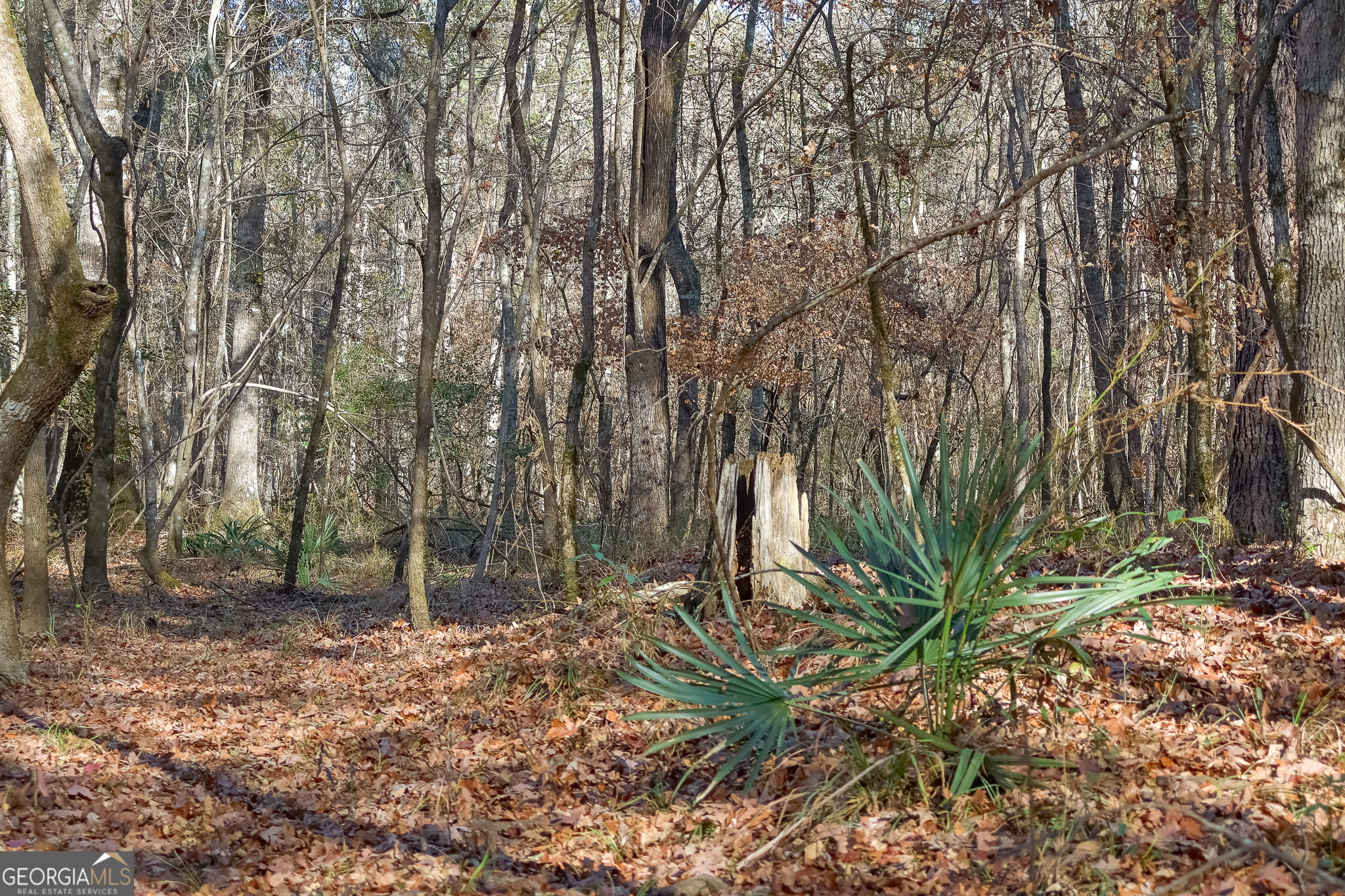 557 Limestone Road Property Photo 17
