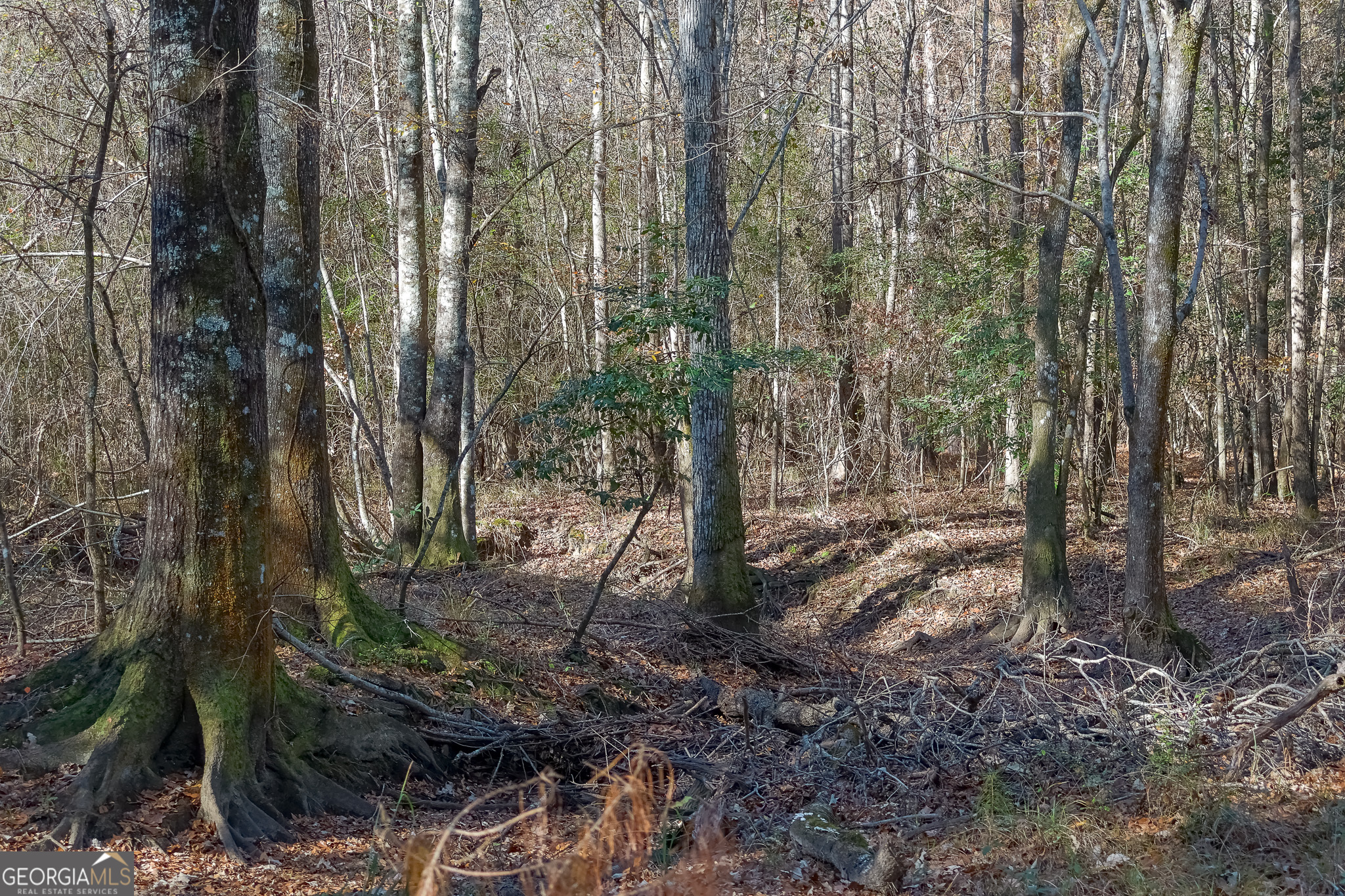 557 Limestone Road Property Photo 18