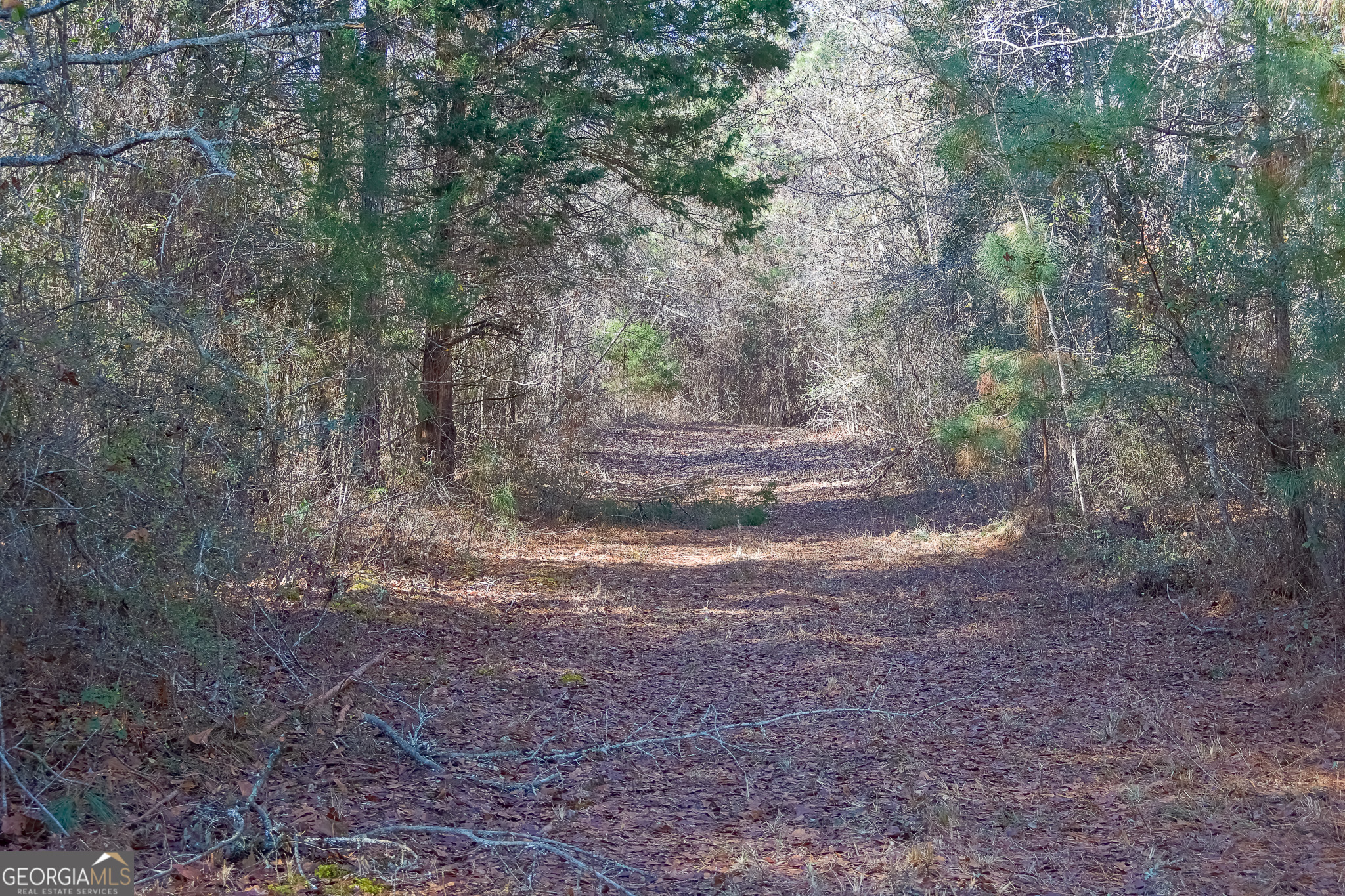 557 Limestone Road Property Photo 20