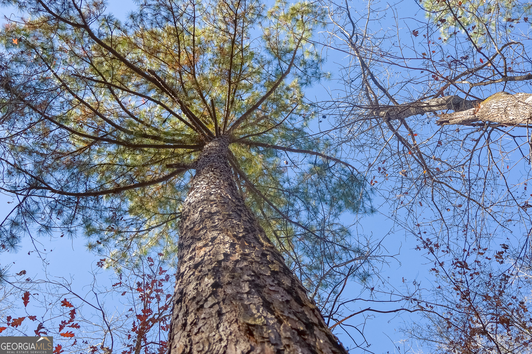 557 Limestone Road Property Photo 24