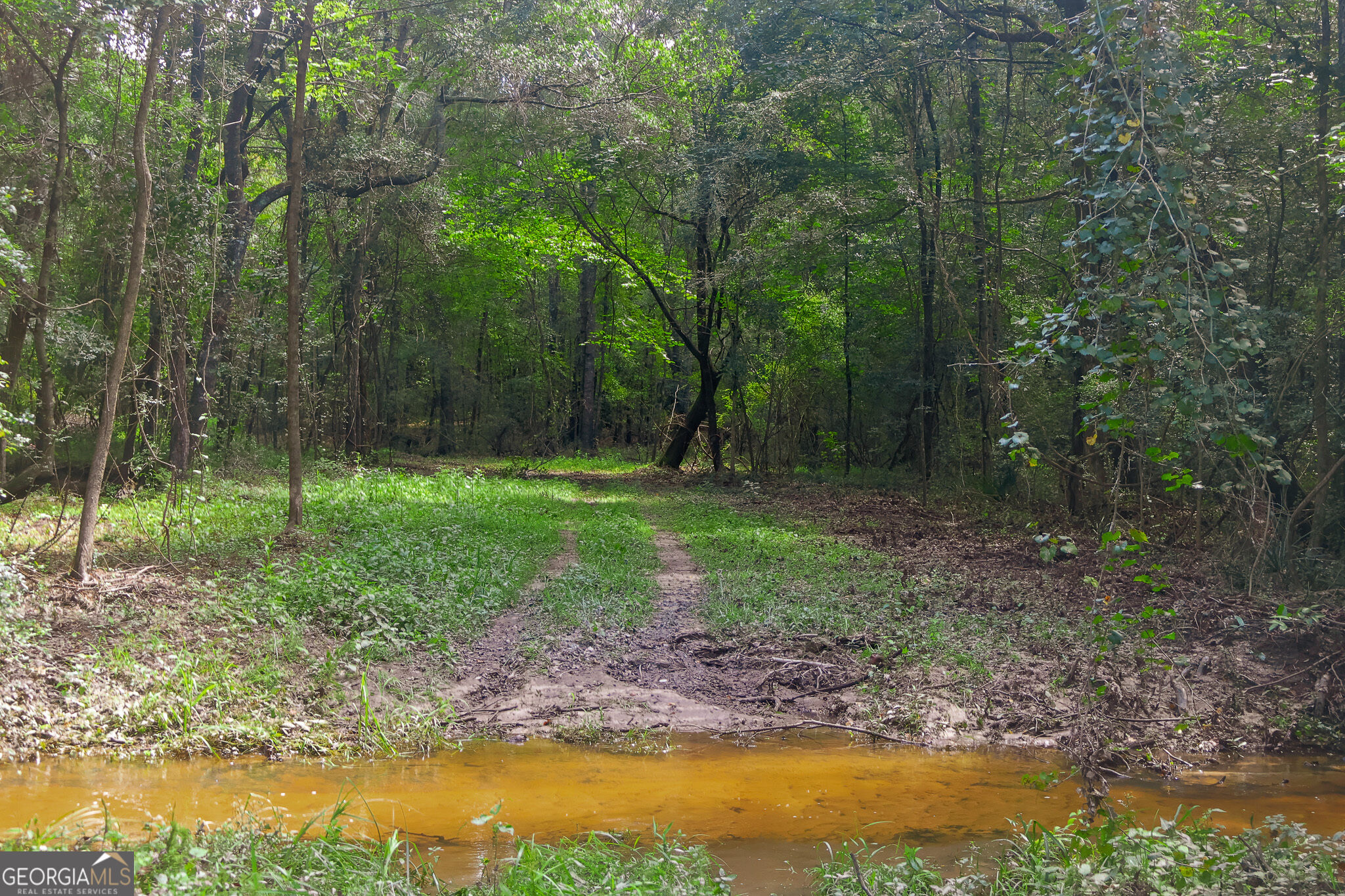 557 Limestone Road Property Photo 35