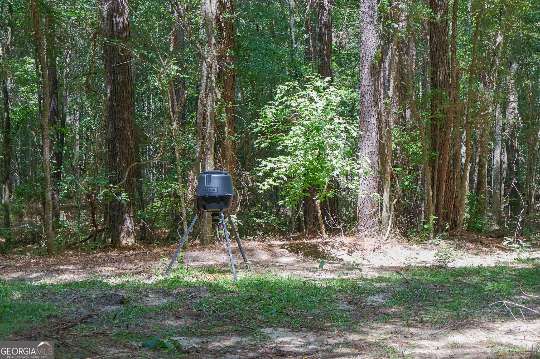 557 Limestone Road Property Photo 40