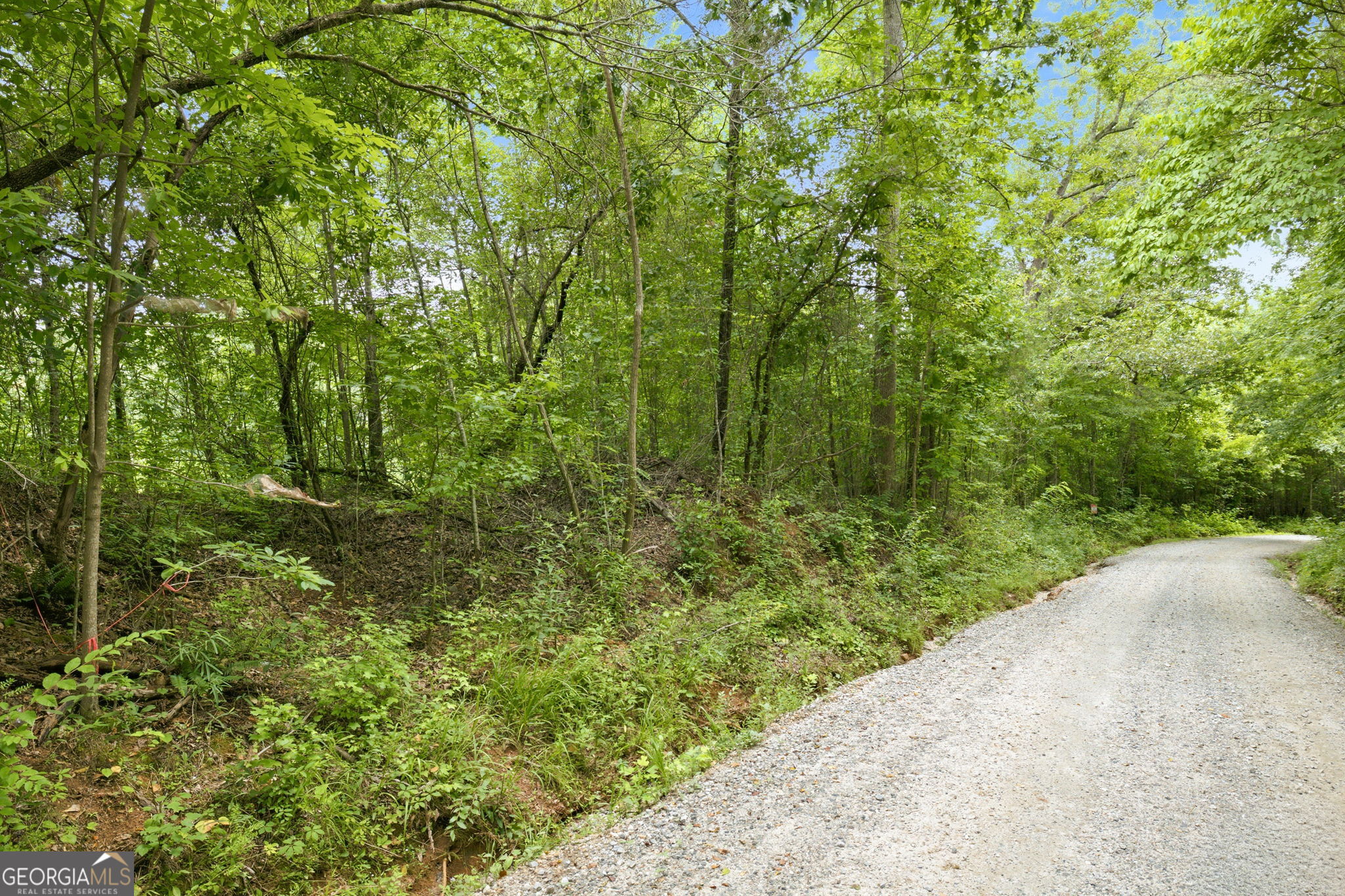 759 Fairview Road # 4 Property Photo 14
