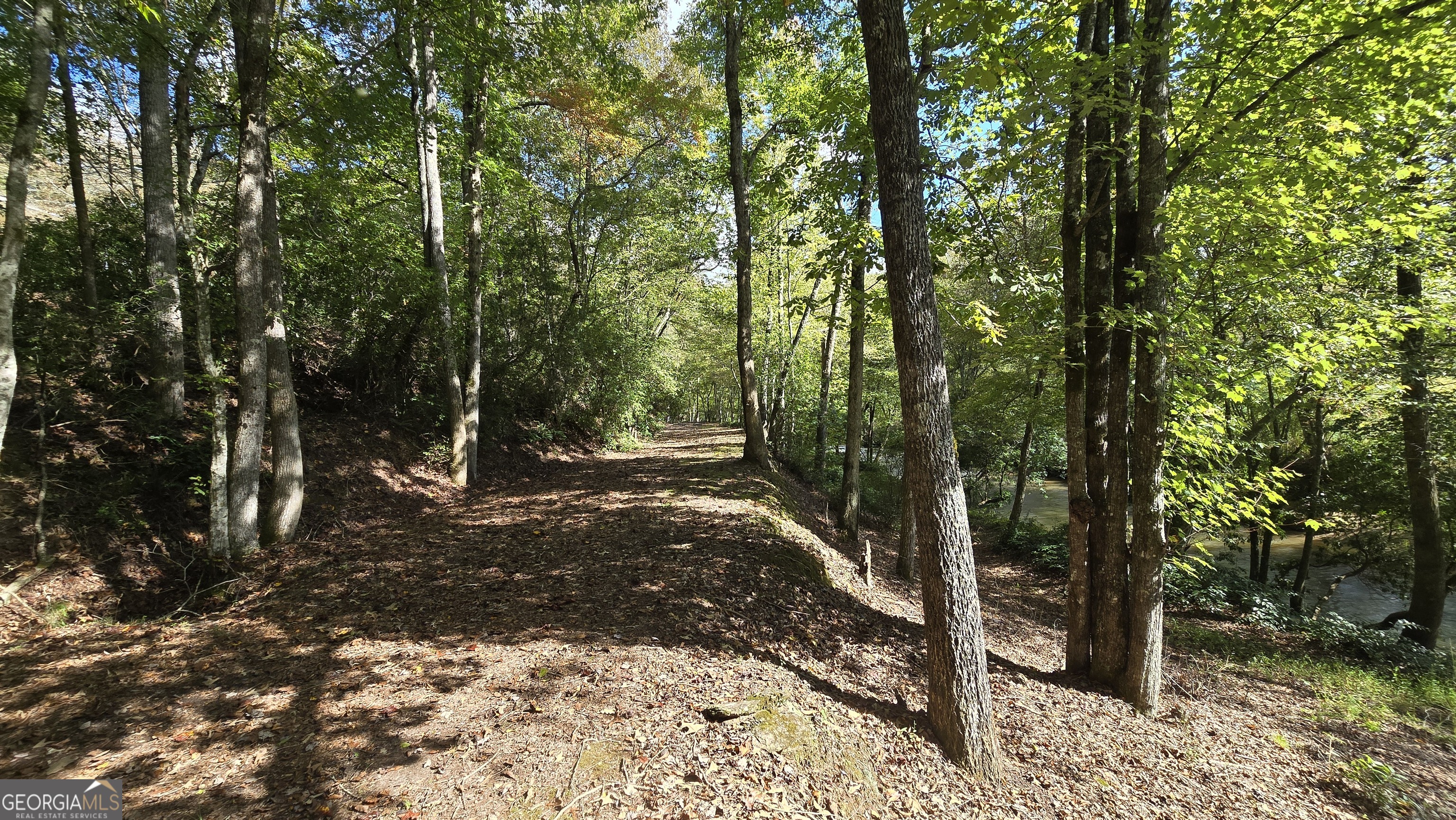 2575 Highway 66 Property Photo 30