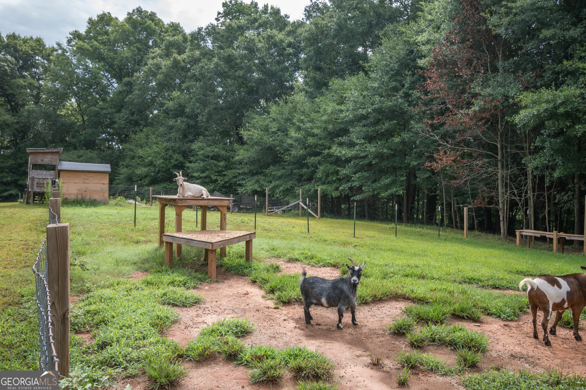 2014 Athens Road Property Photo 30