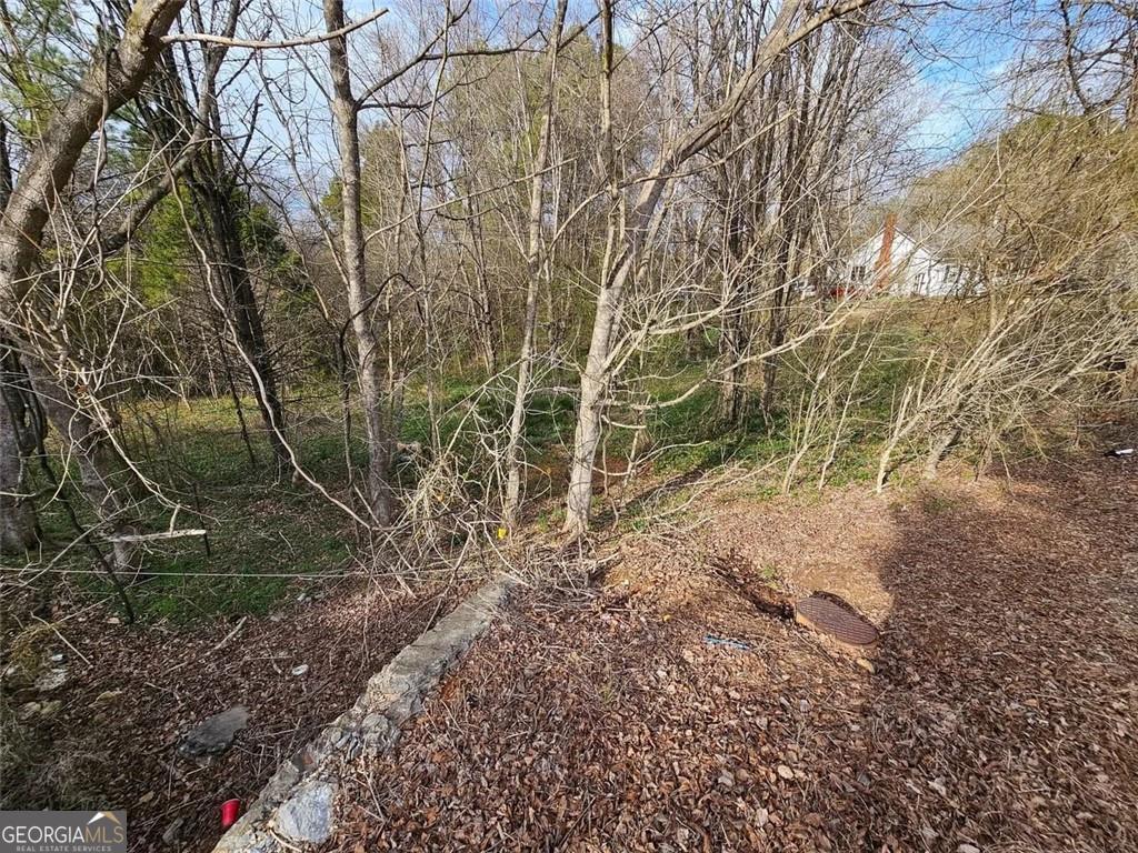 0 Fred Kelly Road Property Photo 1