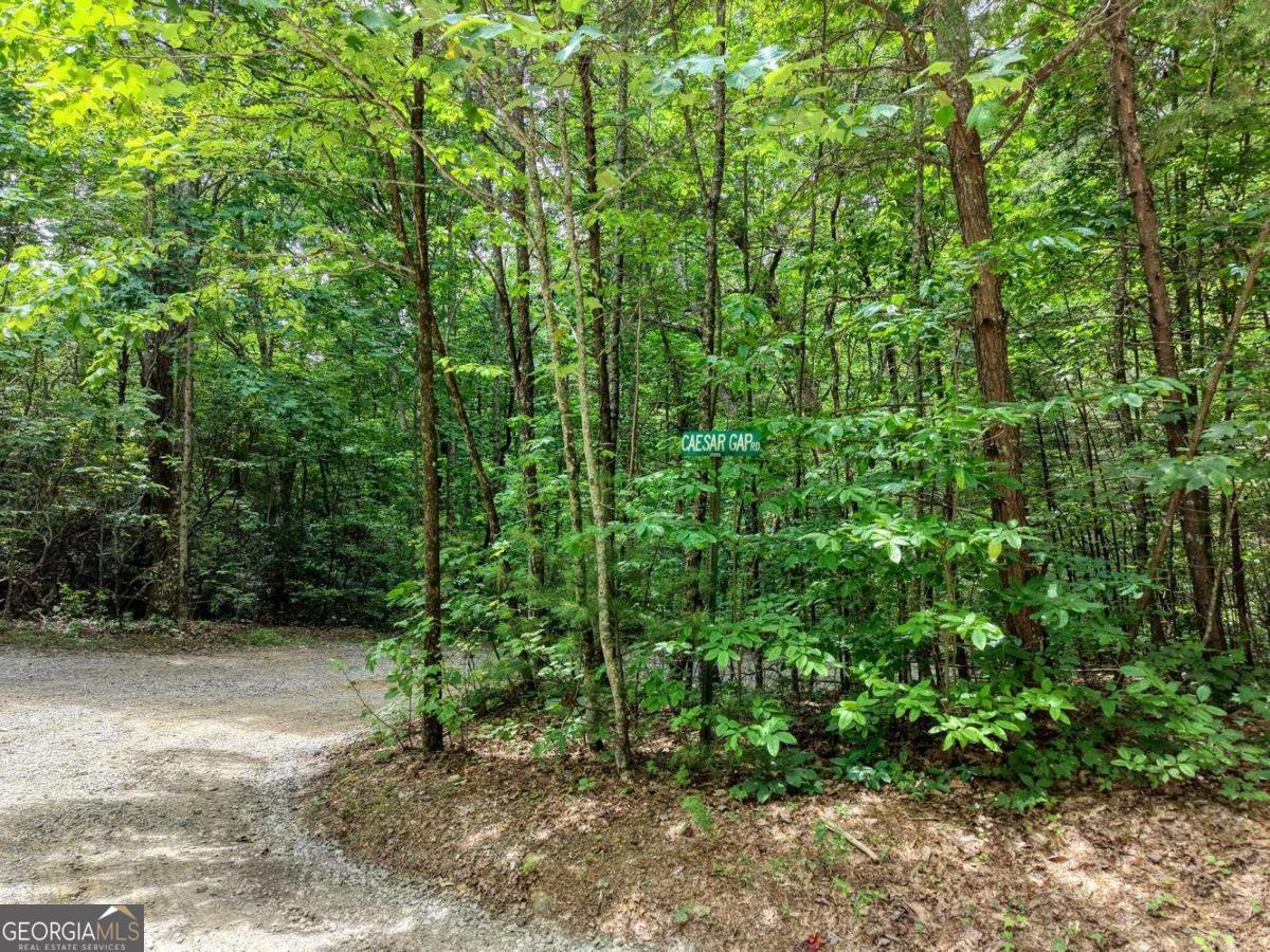 34 Ac Caesar Gap Road # G Property Photo 6