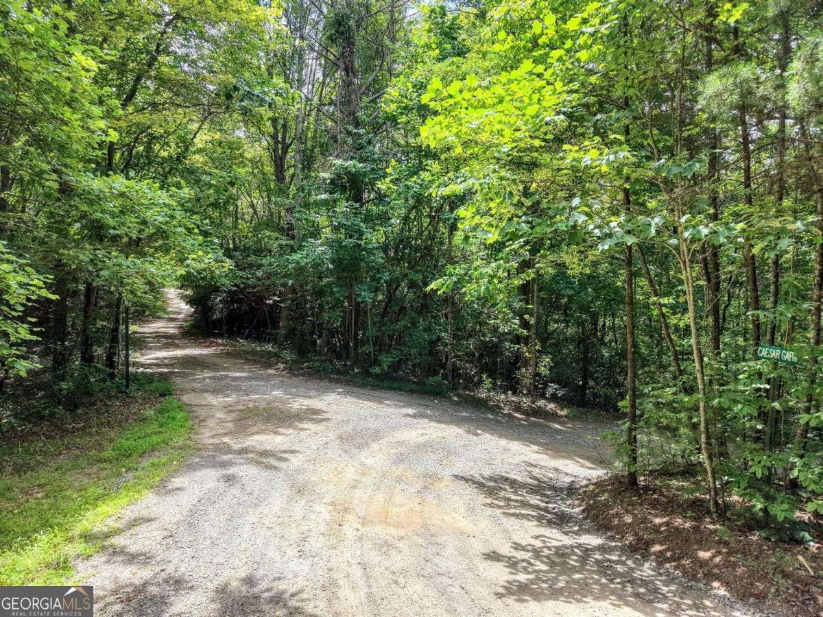 34 Ac Caesar Gap Road # G Property Photo 7