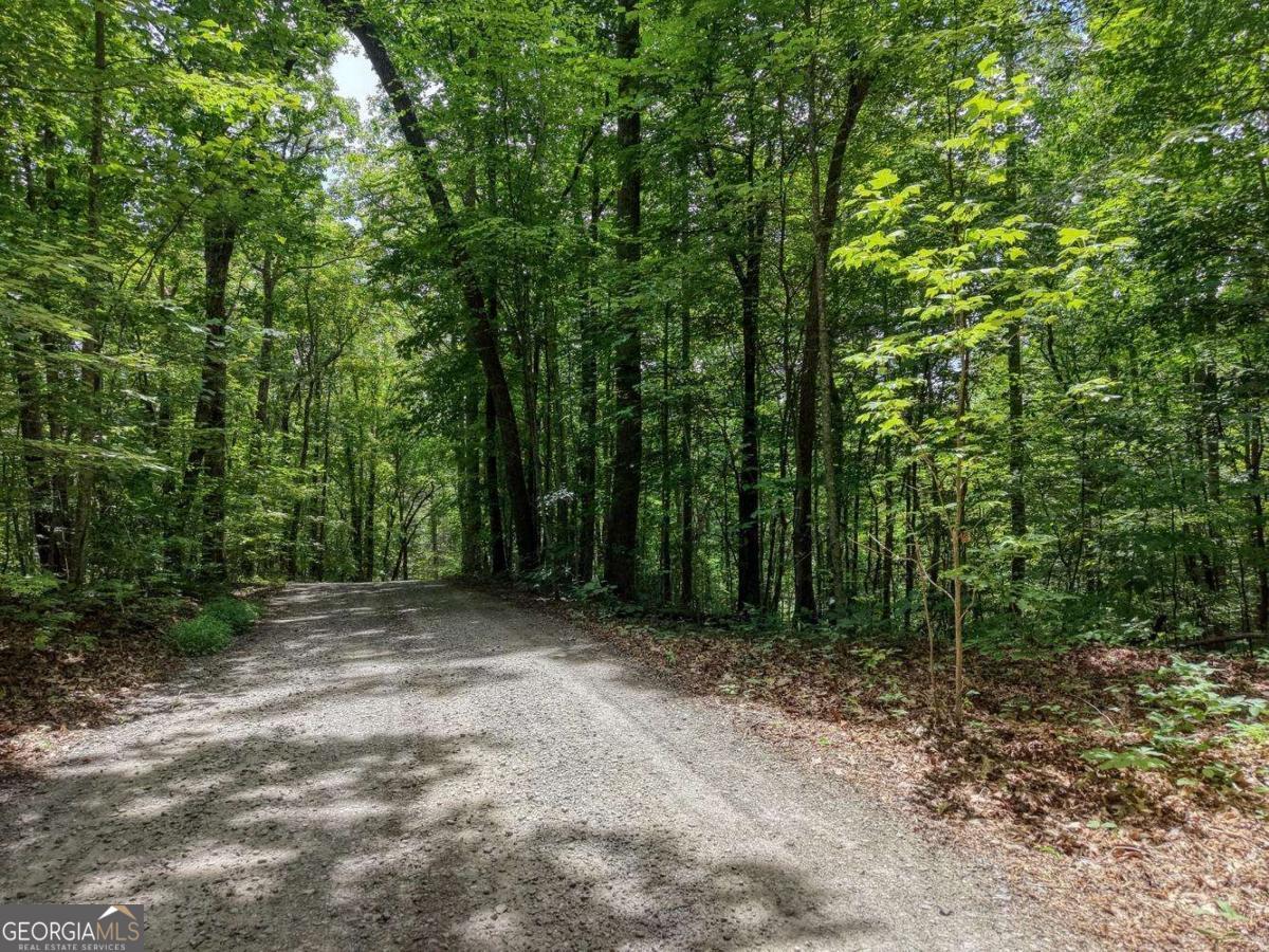 34 Ac Caesar Gap Road # G Property Photo 8