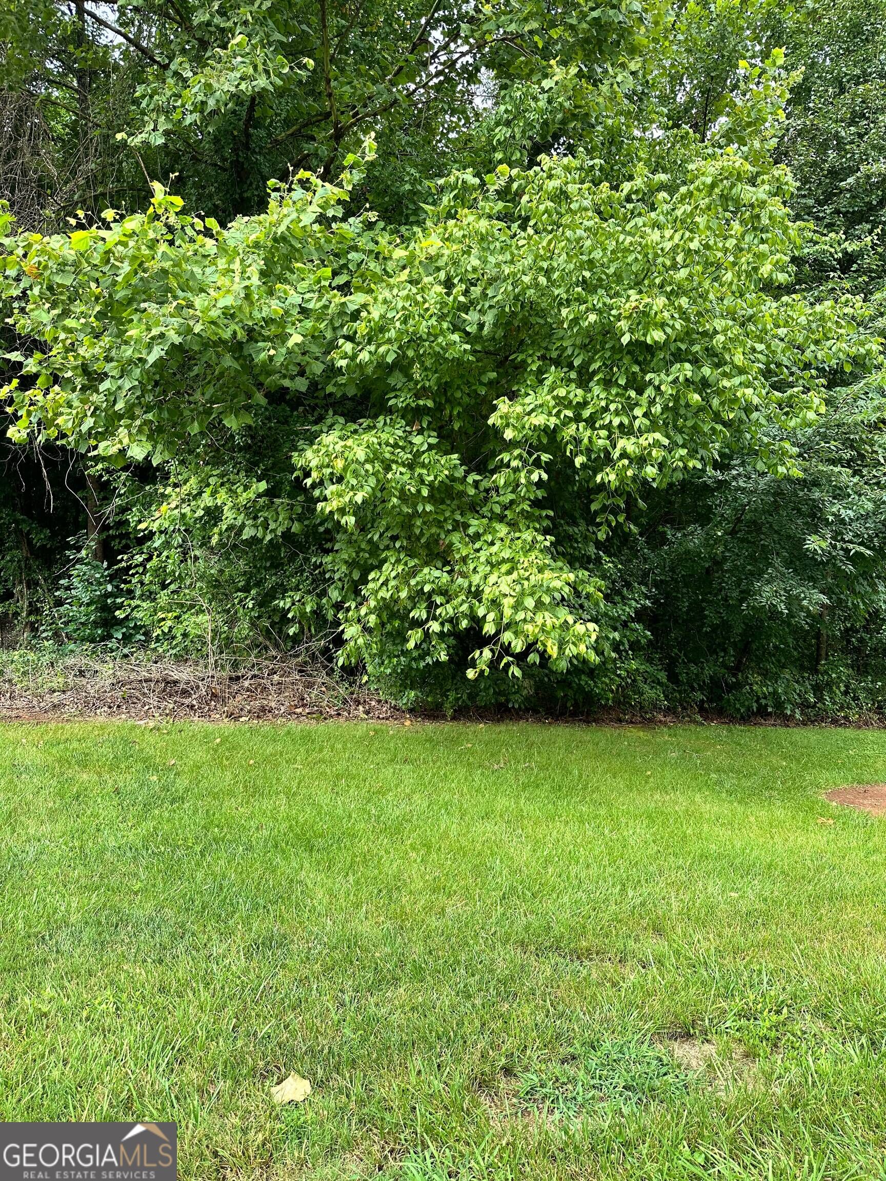 5538 Checkered Spot Drive Property Photo 3
