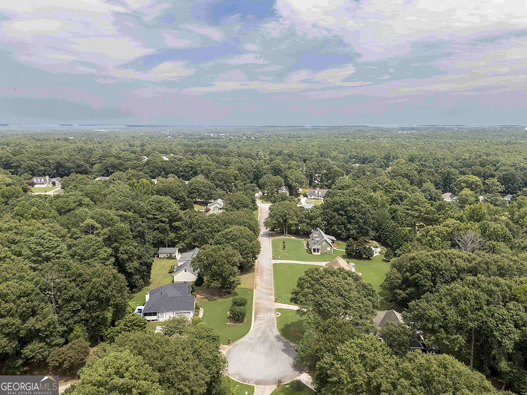 217 Leighs Trace Property Photo 41