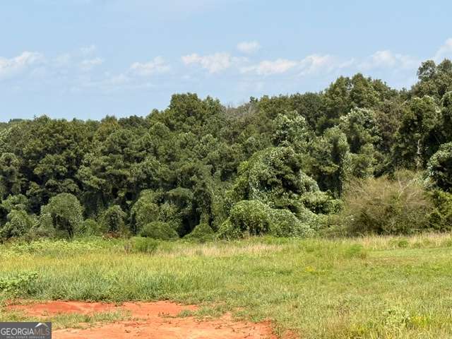 0 Rainey Road Property Photo 3