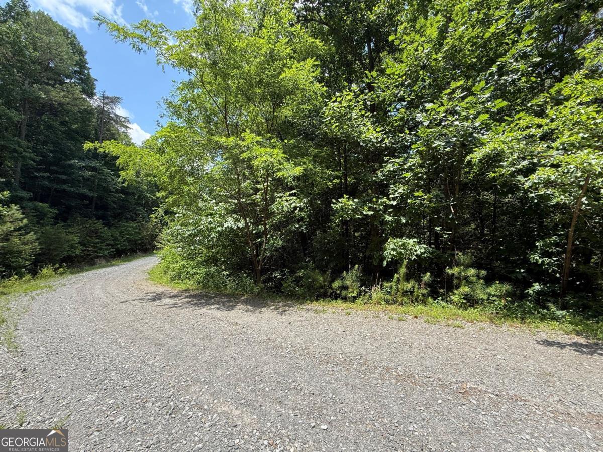 LOT E9 Reece Mountain Road Property Photo 1