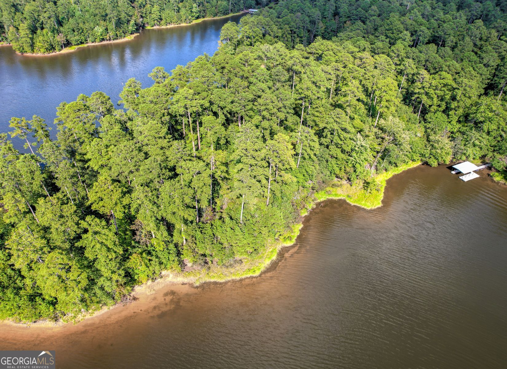 1313 Shimmering Water Cove Property Photo 6
