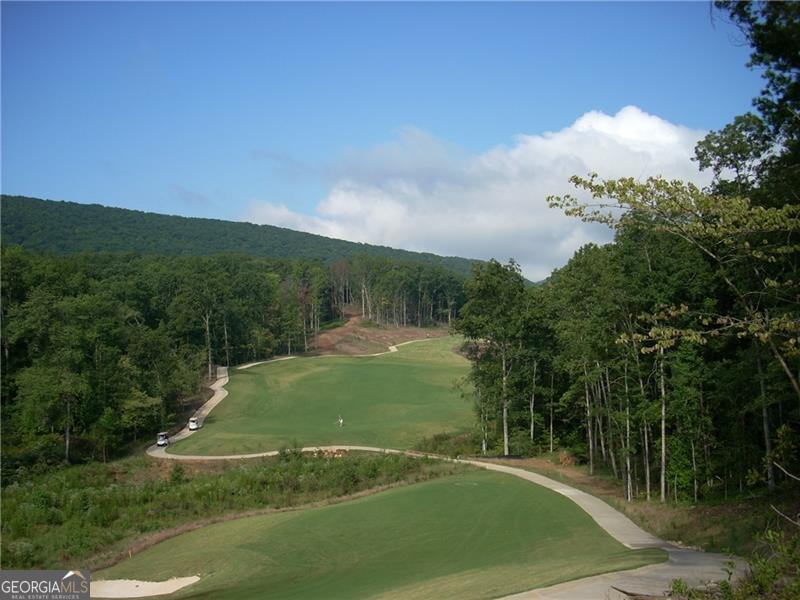213 Little Coyote Loop Property Photo 21
