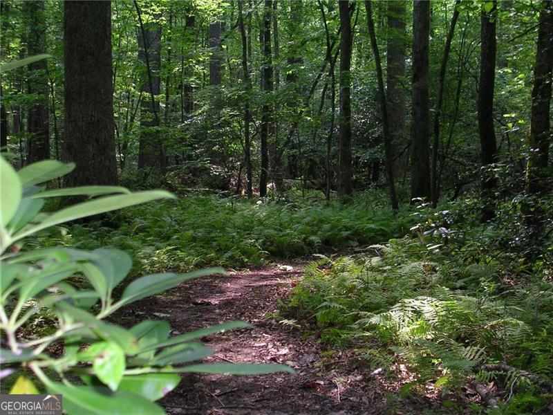 213 Little Coyote Loop Property Photo 22