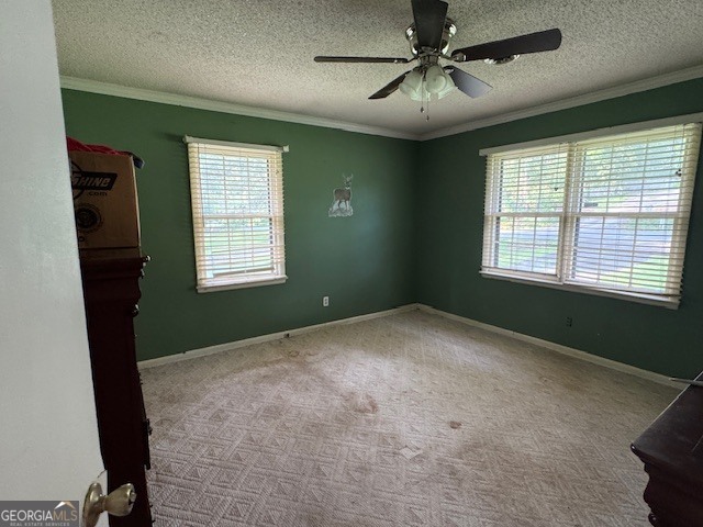 306 Hillcrest Avenue Property Photo 9