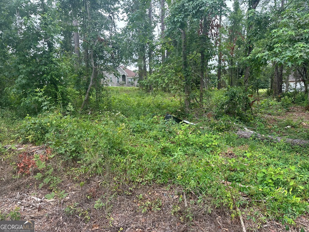 Lot 26 Cypress Lakes Drive Property Photo 3