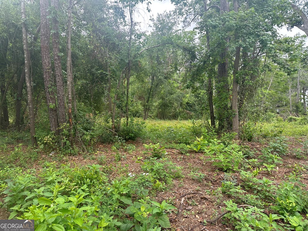 Lot 26 Cypress Lakes Drive Property Photo 4
