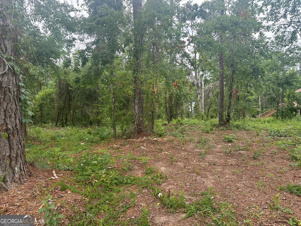 Lot 26 Cypress Lakes Drive Property Photo 6