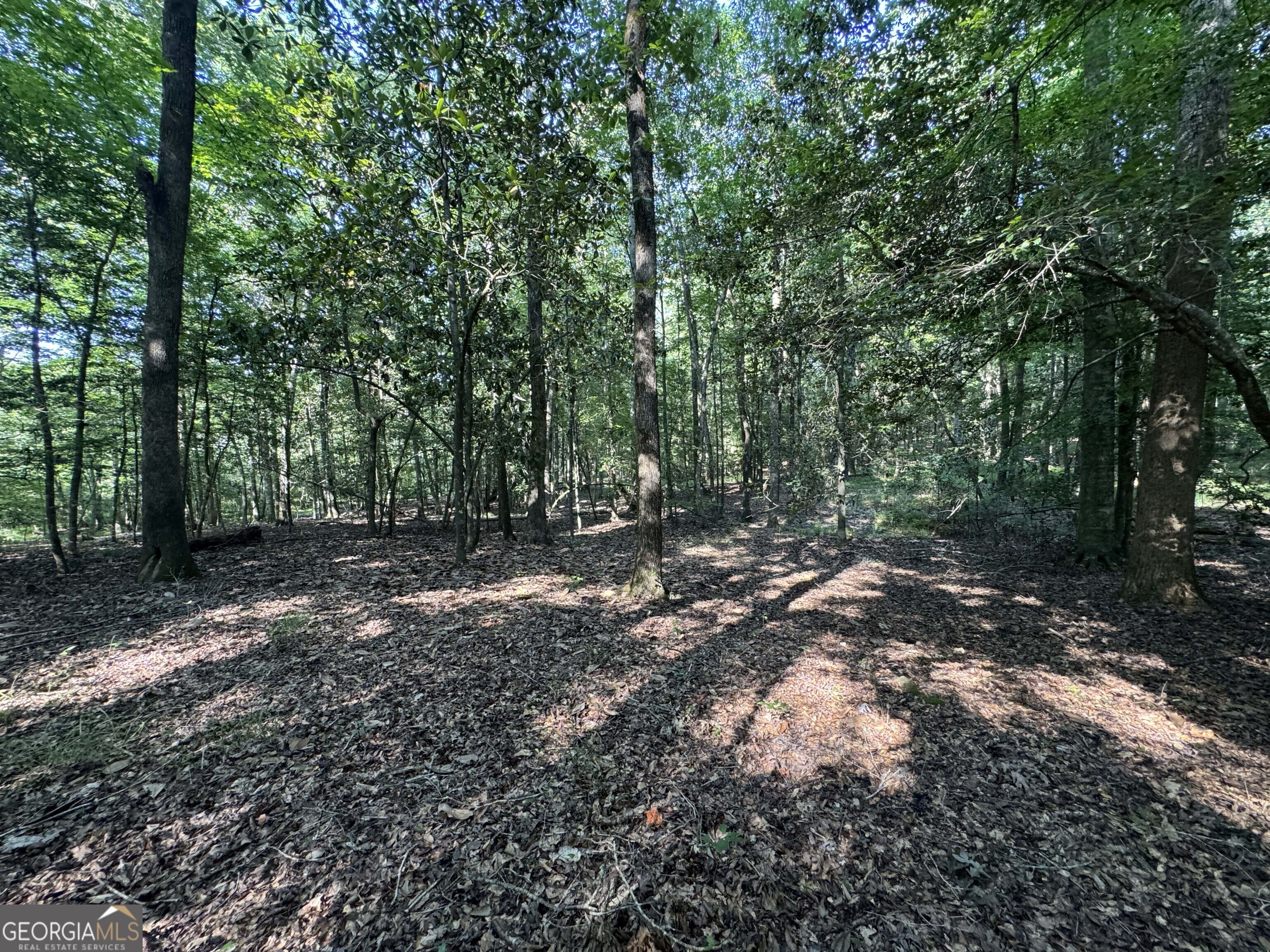 0 Wilson Road Property Photo 11