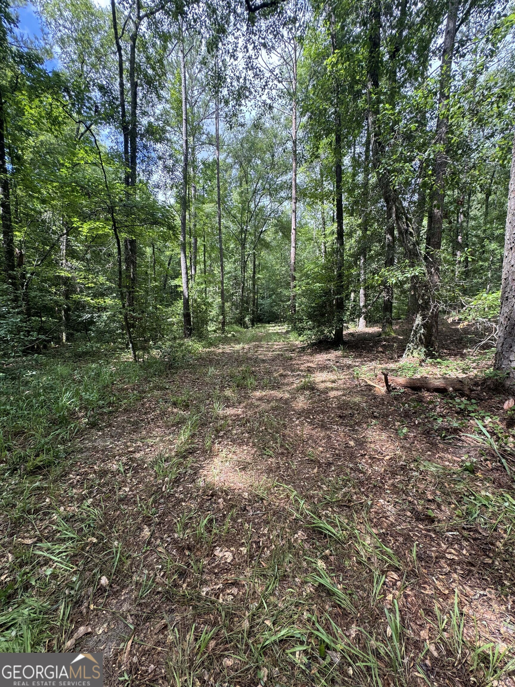 0 Wilson Road Property Photo 17