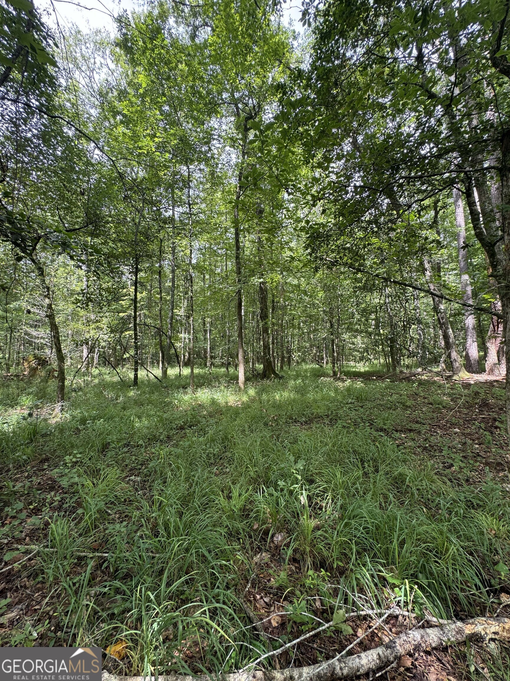 0 Wilson Road Property Photo 25