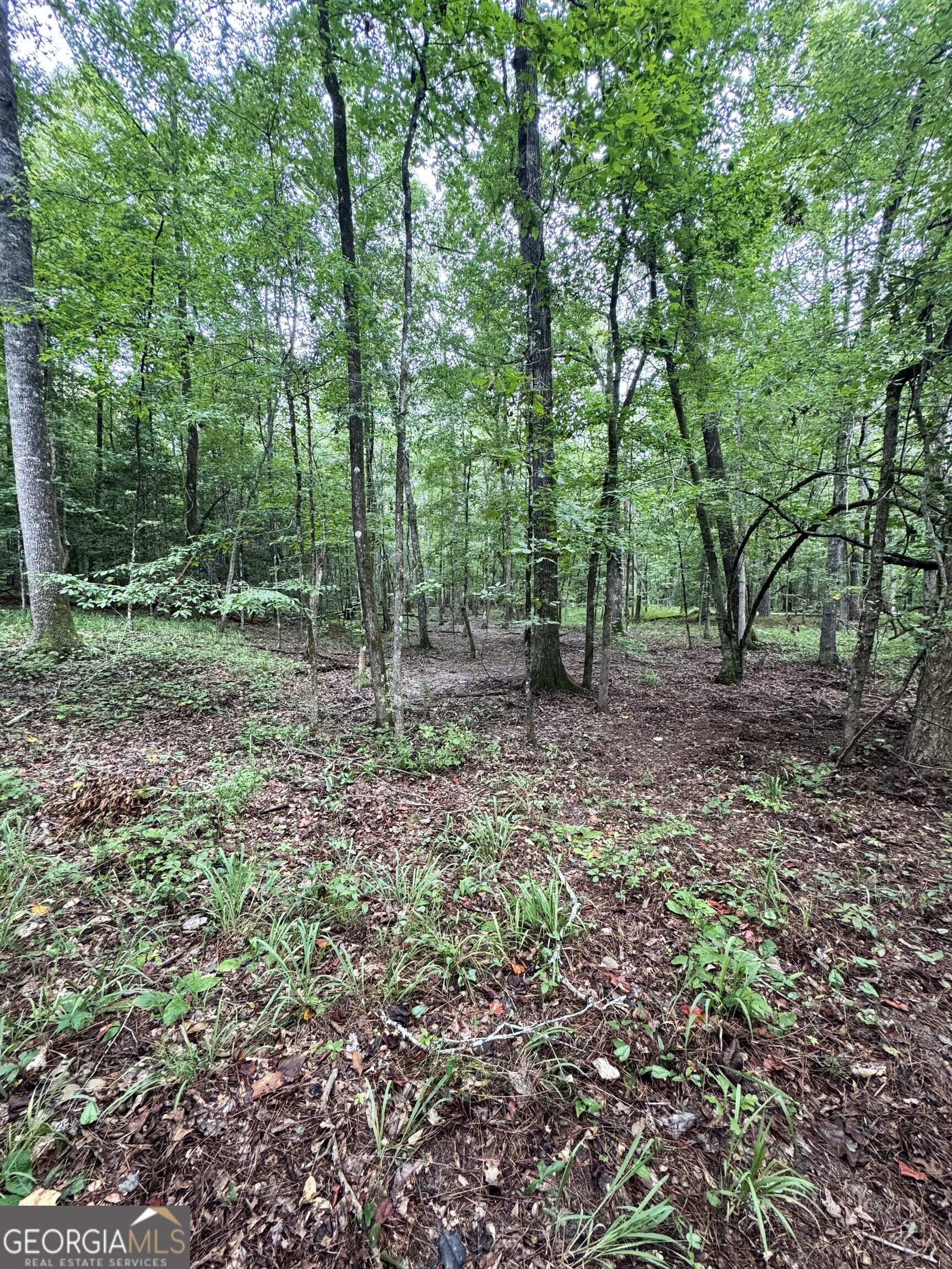 0 Wilson Road Property Photo 26