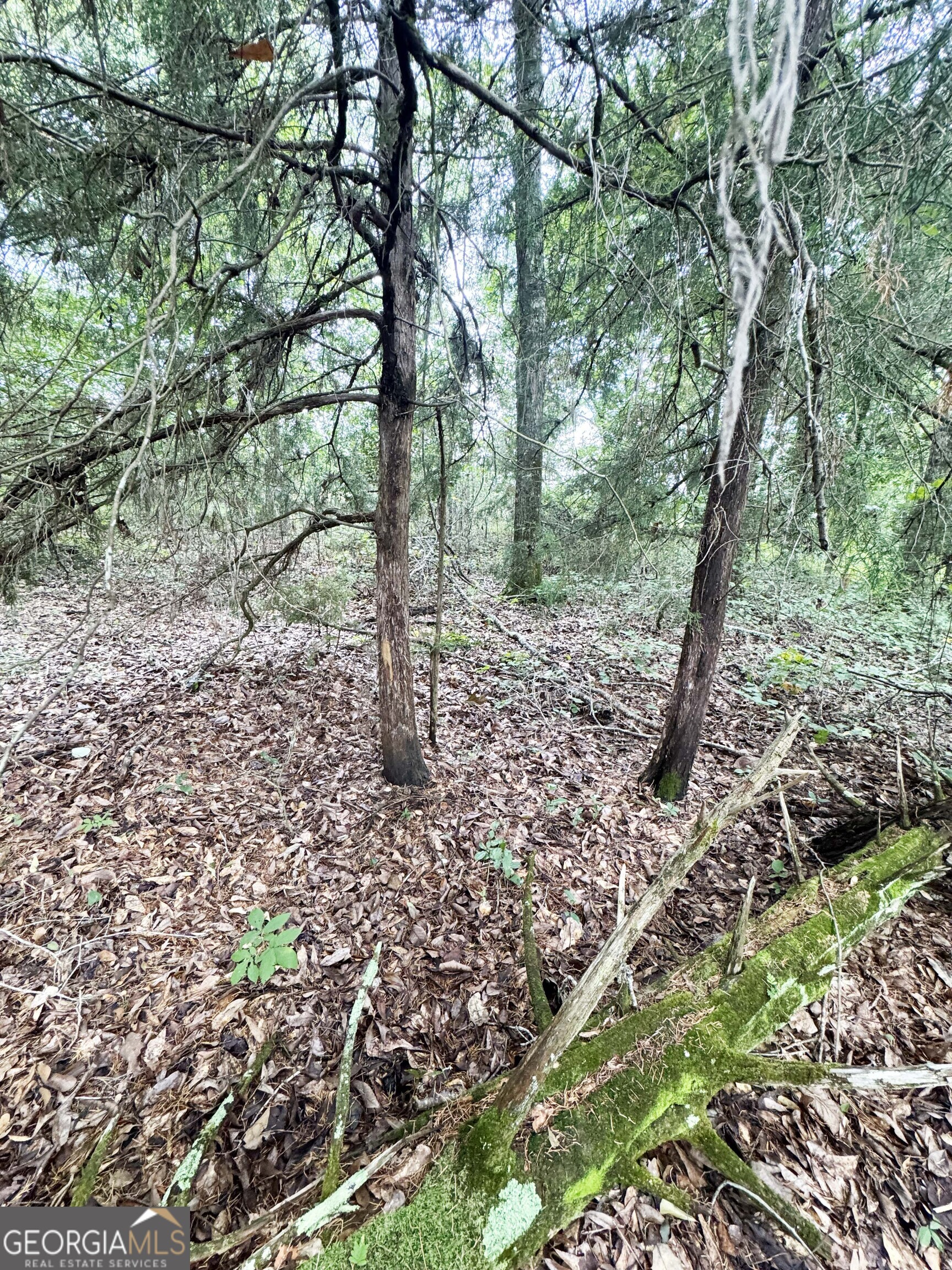 0 Wilson Road Property Photo 35