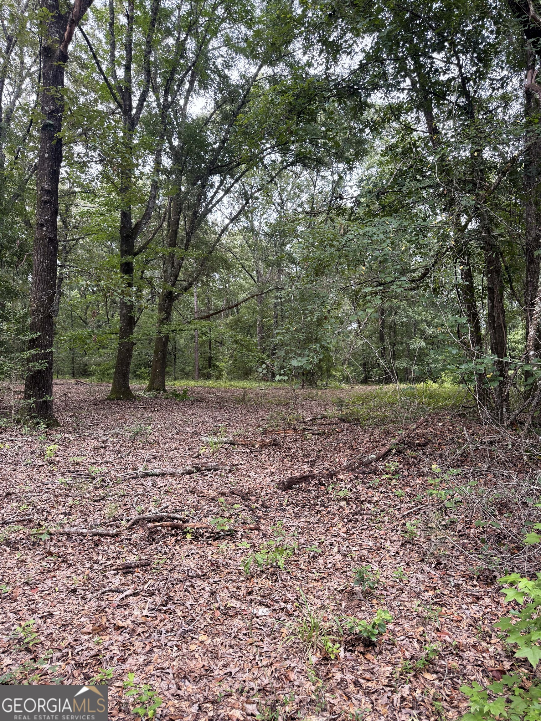 0 Wilson Road Property Photo 37