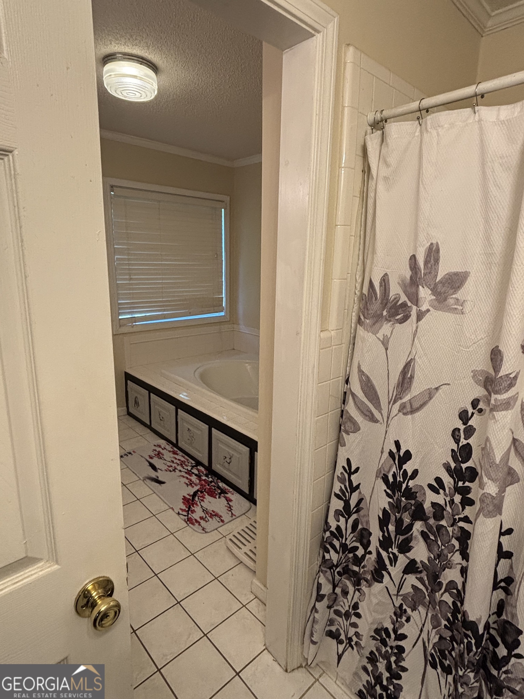 424 Rehoboth Road Property Photo 39